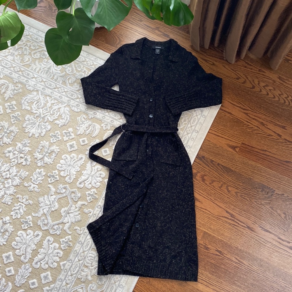 EXPRESS long sweater